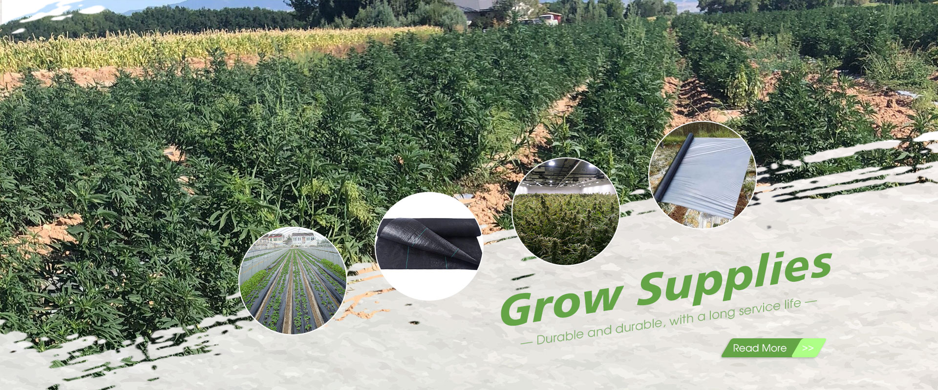 Suprimentos para cultivo na China