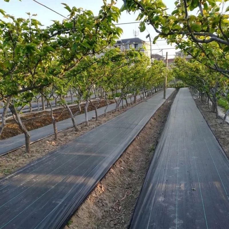 Tecido de controle de ervas daninhas